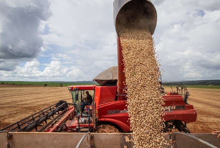 Colheita da primeira safra de feijão alcança 40% no Paraná, indica Deral