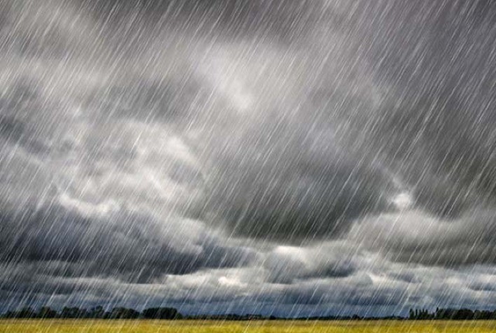 O impacto nas lavouras dos altos volumes de chuva no Sul do país