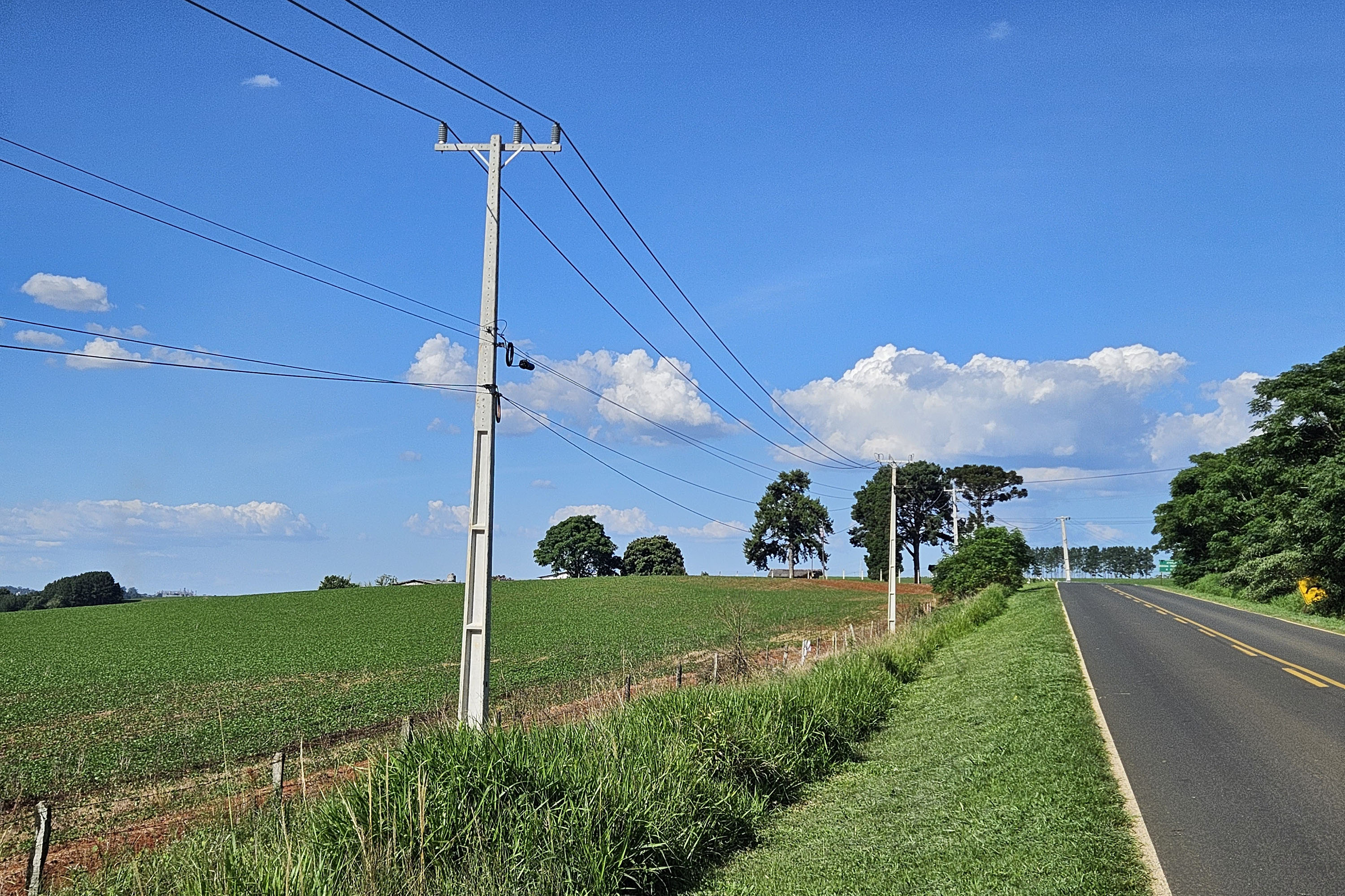 Agricultura paranaense já conta com 15 mil quilômetros de redes trifásicas